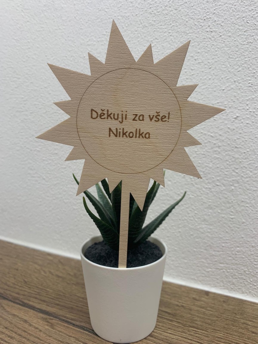Zápich sluníčko