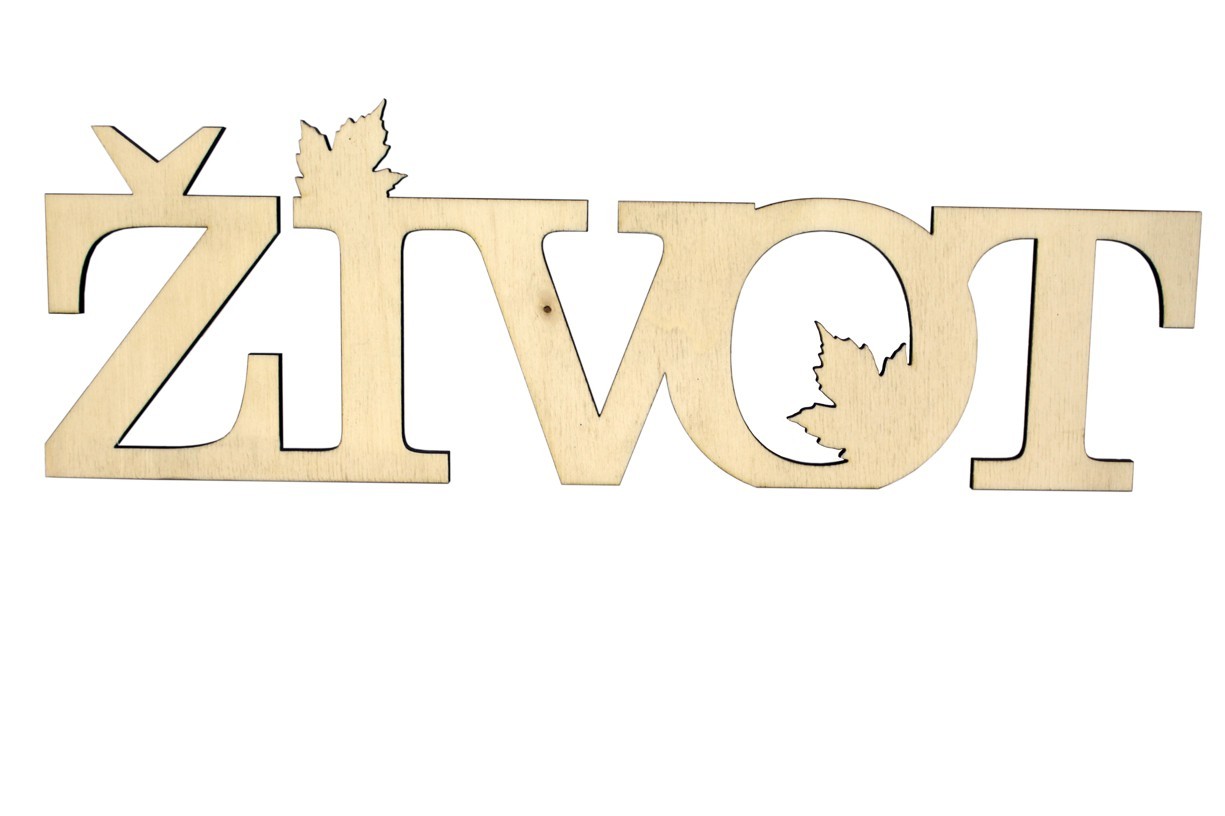 Život - dřevěný nápis