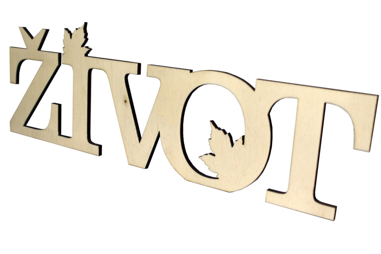 Život - dřevěný nápis